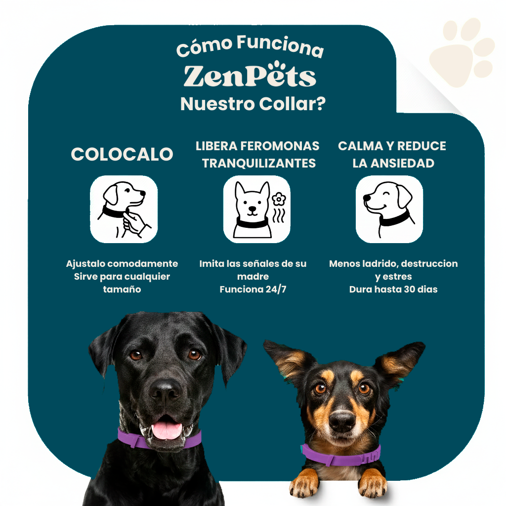Collar Calmante Natural ZenPets® Power